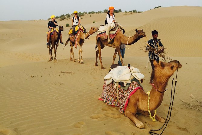 Shahi Over Night camel safari non touristic sand dune - Meals in the desert: coffee, snacks, two breakfasts, and two dinners