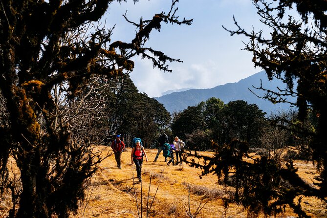 Singalila Ridge Trek from Darjeeling - 6 Days - Day 2: The steep climb to Sandakphu, West Bengal’s highest point
