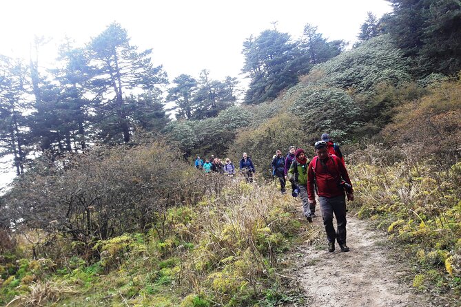 Singalila Ridge Trek from Darjeeling - 6 Days - Day 6: A mostly gentle finish from Timburey to Rimbeek