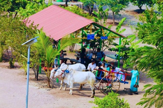 Skip the Line: Meher Retreat Day Picnic Ticket, Near Pune - Meher Retreat Near Pune, What This Day Picnic Feels Like