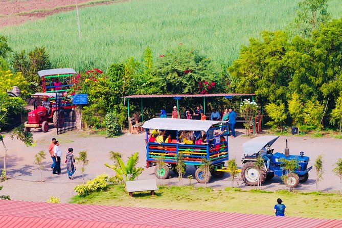 Skip the Line: Meher Retreat Day Picnic Ticket, Near Pune - Food Schedule That Keeps You From Waiting Around