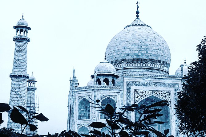 Skip the line with Private Tour Guide for Taj Mahal & Agra Fort - What the Private Guide Actually Does for You