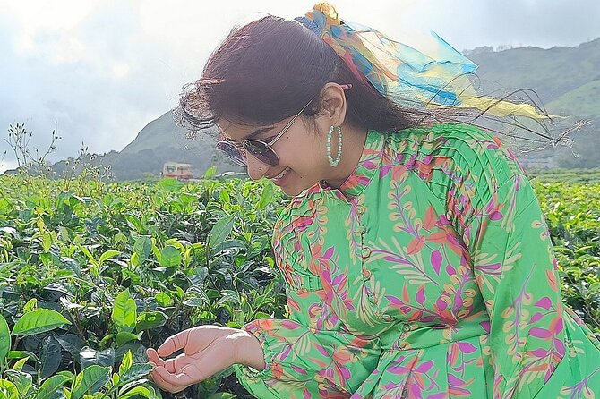 Solo Kerala Private Tour Package ( 5 Nights) - Munnar, Thekkady, Houseboat - Munnar’s “tea, dam, park” day: Kundala, Mattupetty, Eravikulam, and the museum