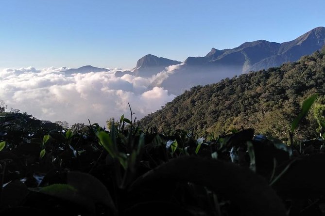Sunrise Tour in Top Station, Munnar ( By Munnar Info) - Why Top Station Sunrise Gets You More Than One View