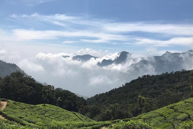 Sunrise Tour in Top Station, Munnar ( By Munnar Info) - Included Perks That Make the Early Hours Easier