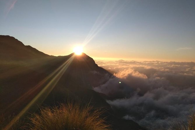Sunrise Tour in Top Station, Munnar ( By Munnar Info) - Stop-by-Stop: Top Station to Yellapatty Bus Stop (and What Each One Gives You)