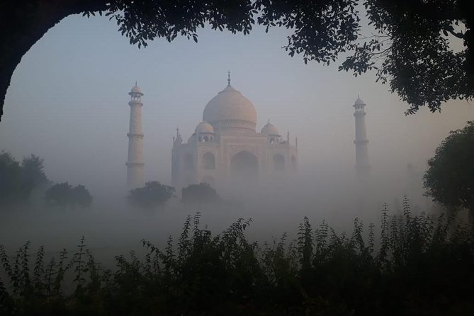 Sunrise tour to Tajmahal and Agra fort from Delhi - Should You Book This Sunrise Taj and Fort Tour?