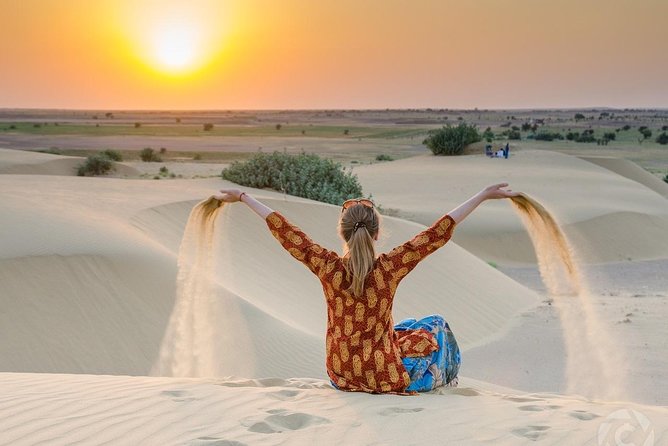 Sunset Safari With Dinner - A 3 pm Start That Builds Toward Sunset Without Feeling Rushed