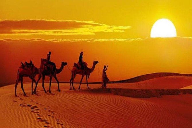 Sunset Safari With Dinner - Price and Value: What $35 Gets You (And What You Should Add On)