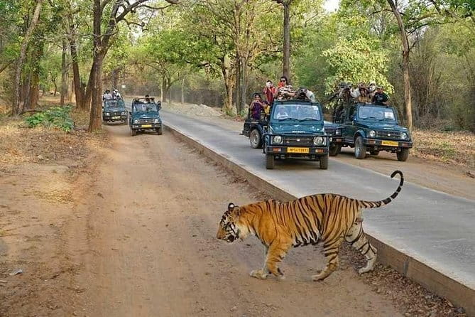 Taj Mahal & Agra Private Day Tour from New Delhi by Car with Meal - How the guided approach improves your Taj Mahal visit (without pretending it’s magic)