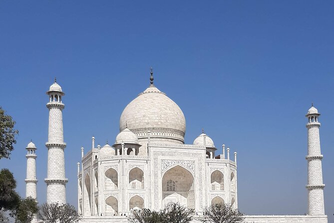Taj mahal Private Tour with Entry Ticket and Guide - Inside the monument: what to pay attention to during your guided time