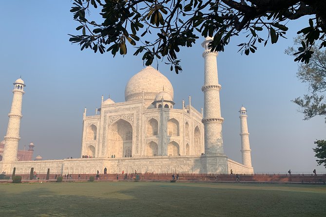 Taj Mahal Virtual Tour with Local Guide(Online Experience ) - How the Tour Runs: Timing, Video Link, and Private Groups