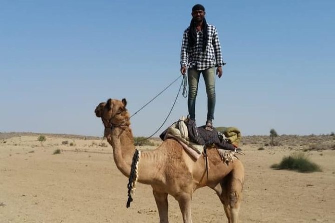 Thar Desert Camel Tour, Guide with over 25 years of experience! - Key things to know before you go