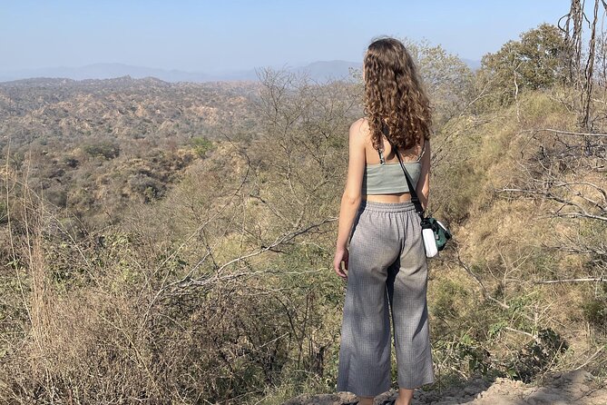 The Hipster Chandigarh Architecture History Tour - 9:00 Start, Max 41, and a Tour That Uses Real Timing