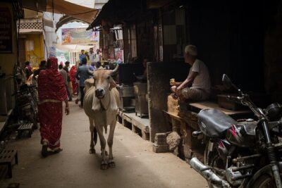 The Ultimate 3 Days in Varanasi – How to Spend 39 Hours – For First Timers
