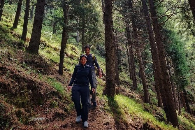 Top Tibba Trek - Mussoorie - Forest trail time: what the hike actually feels like