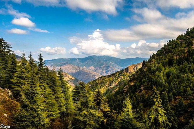 Top Tibba Trek - Mussoorie - The climb to Top Tibba: working hard for an 8,500 ft payoff