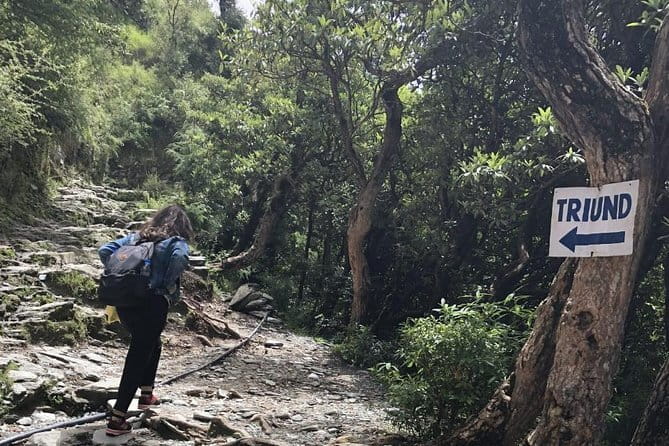 Triund Trek - Triund trek: why this easy-to-moderate Himalayas break works