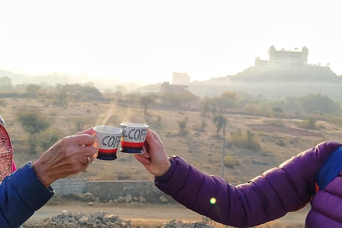 Udaipur Bicycle Tour - Price and logistics: what $35 really buys you