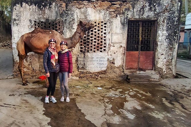 Udaipur Bicycle Tour - Rani Road around Fateh Sagar: where the morning feels local