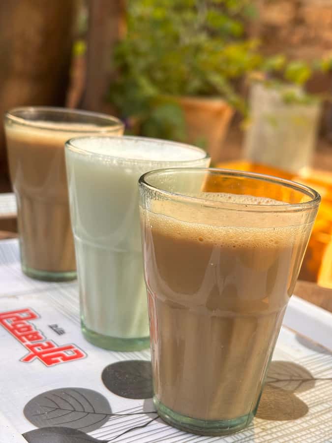 Udaipur: Off-the-Beaten Path Guided E-Bike Tour - How the tea stops turn sightseeing into a local moment