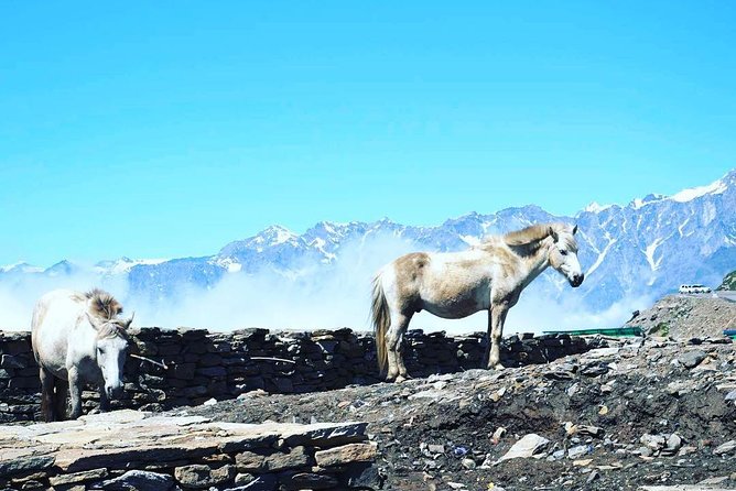 Unique Shimla and Manali tour - Entering The Hills: Why This 5-Day Route Works