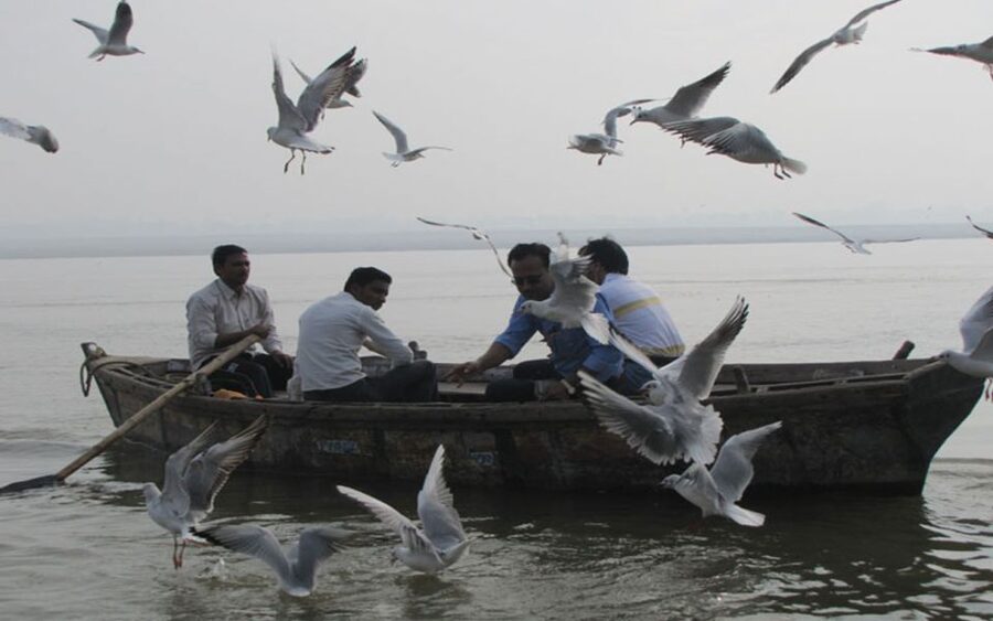 Varanasi: Sunrise Boat Ride w/ Ghats & Morning Rituals - Quick Takeaways Before You Go