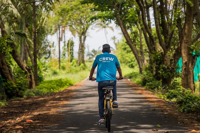 Varca Coastal E-Bike Tour: Scenic Beachside Adventure - Paddy fields, areca nut, and betel plants you can actually name