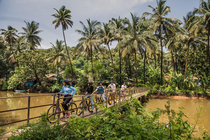 Village Vibes: Cansaulim Coastal E-Bike & Japanese Tea Tour - Price and what you actually get for $33