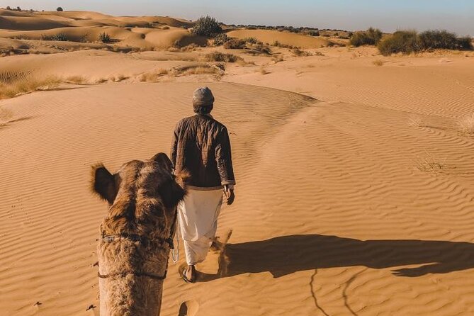 Wild Desert Overnight Safari - The Value of Price When You See What Is Included